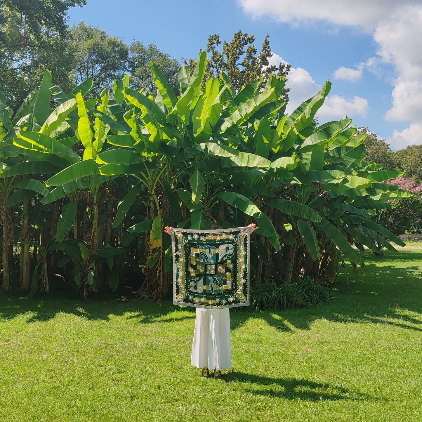 Foulard carré in seta | L'ebbrezza del volo | verde e ocra